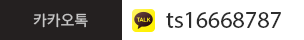 카카오톡 ts16668787